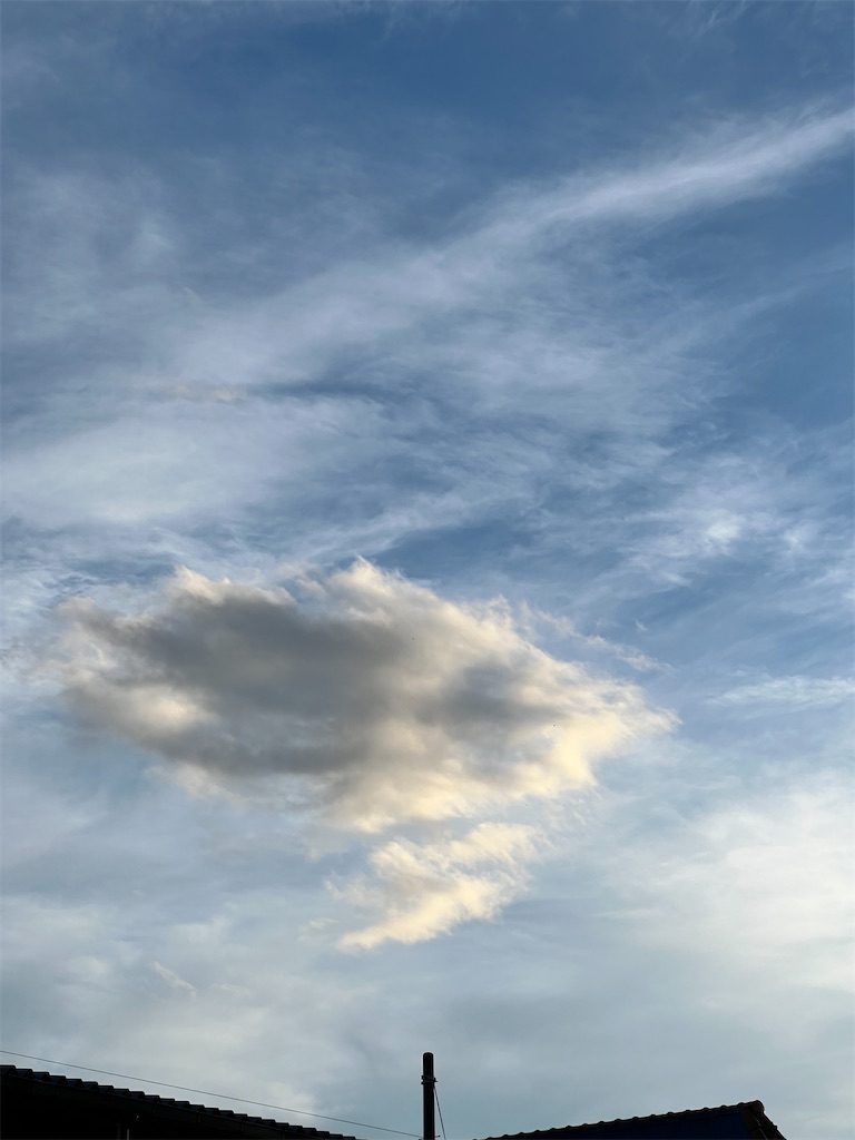f:id:rest_of_life:20241030161610j:image