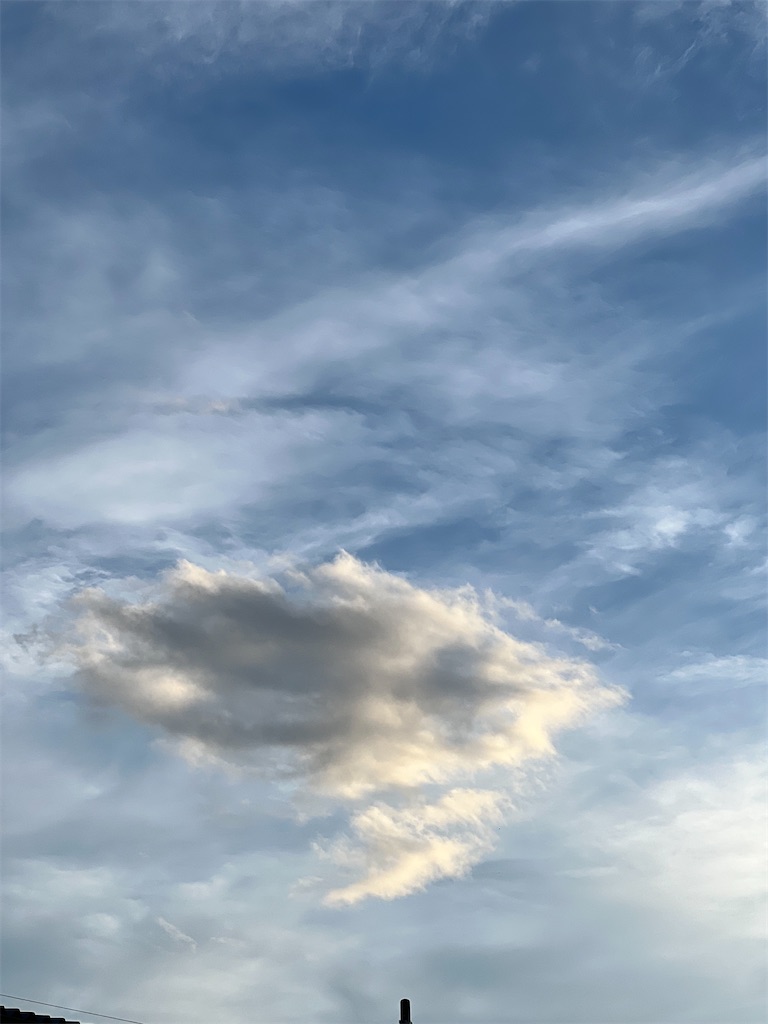 f:id:rest_of_life:20241030161614j:image