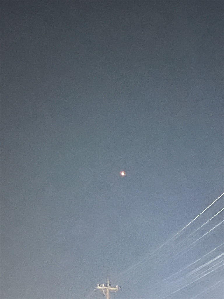 f:id:rest_of_life:20241030215724j:image