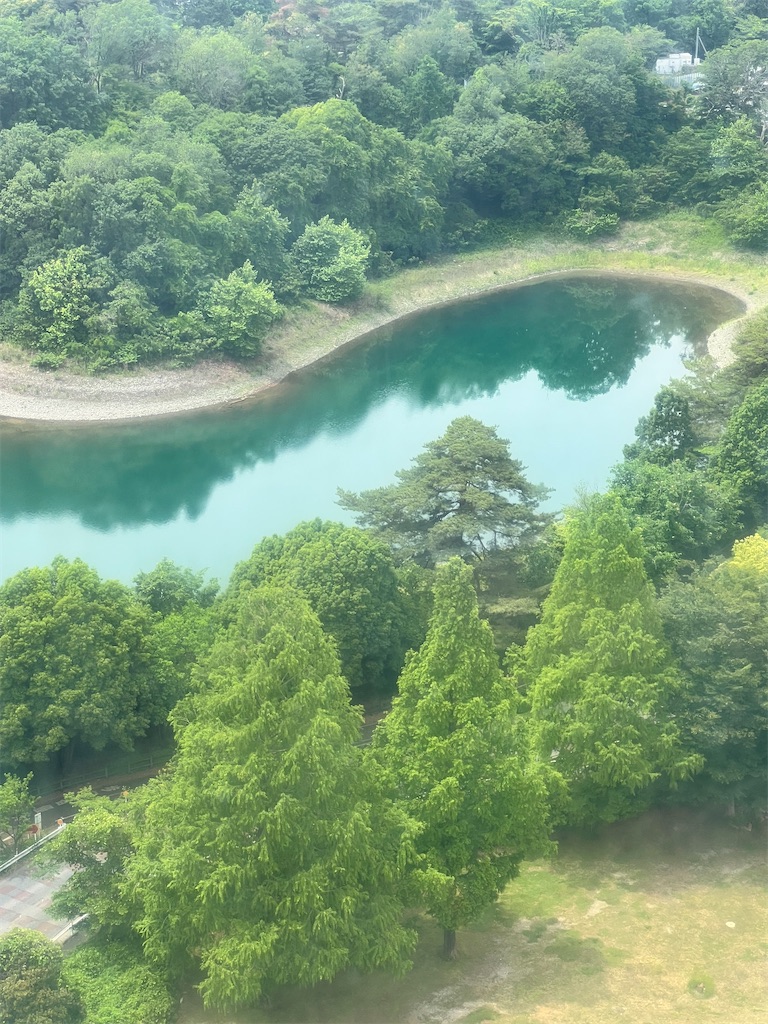 f:id:rest_of_life:20250523181509j:image
