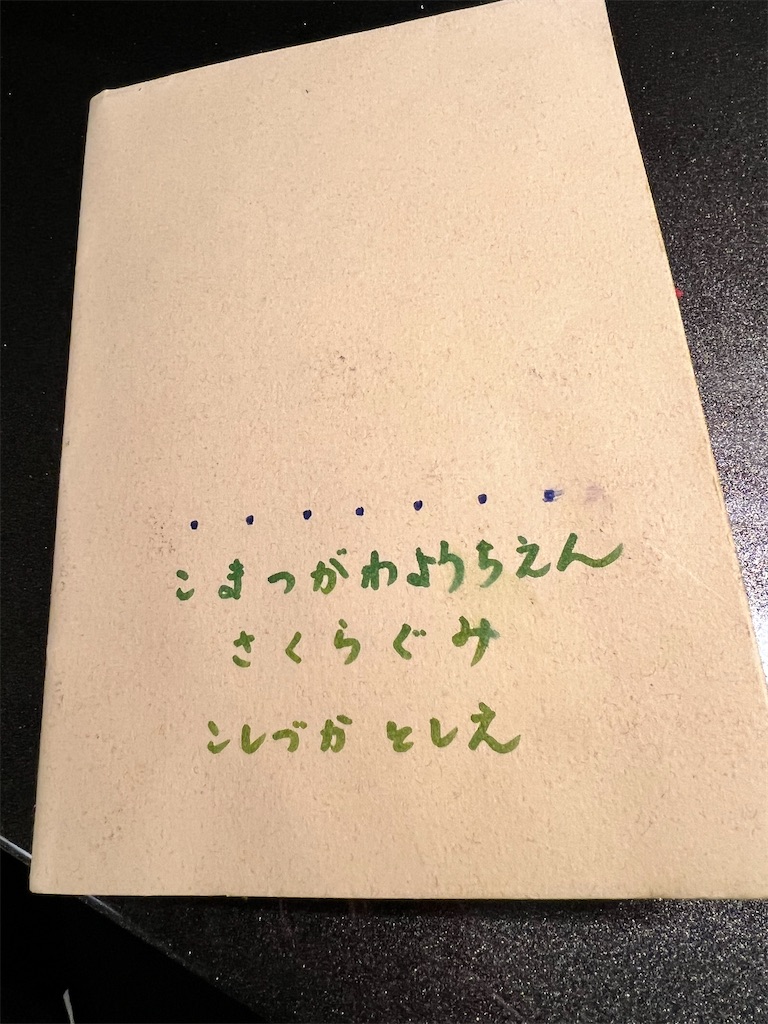f:id:rest_of_life:20250602224824j:image