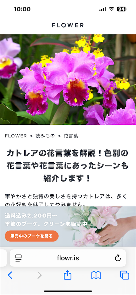 f:id:rest_of_life:20250706100143p:image