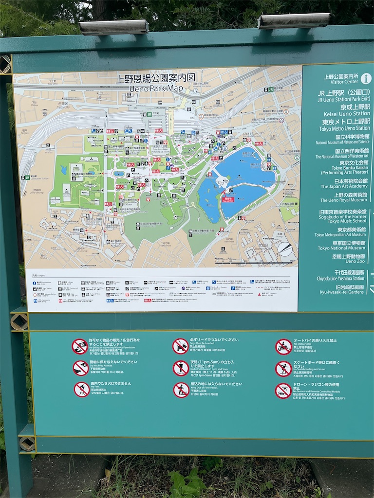 f:id:rest_of_life:20250714124606j:image