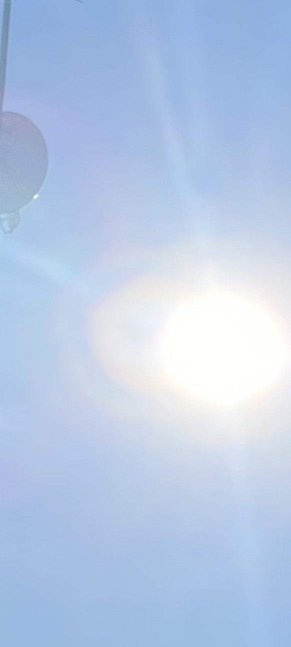 f:id:rest_of_life:20260412062103j:image