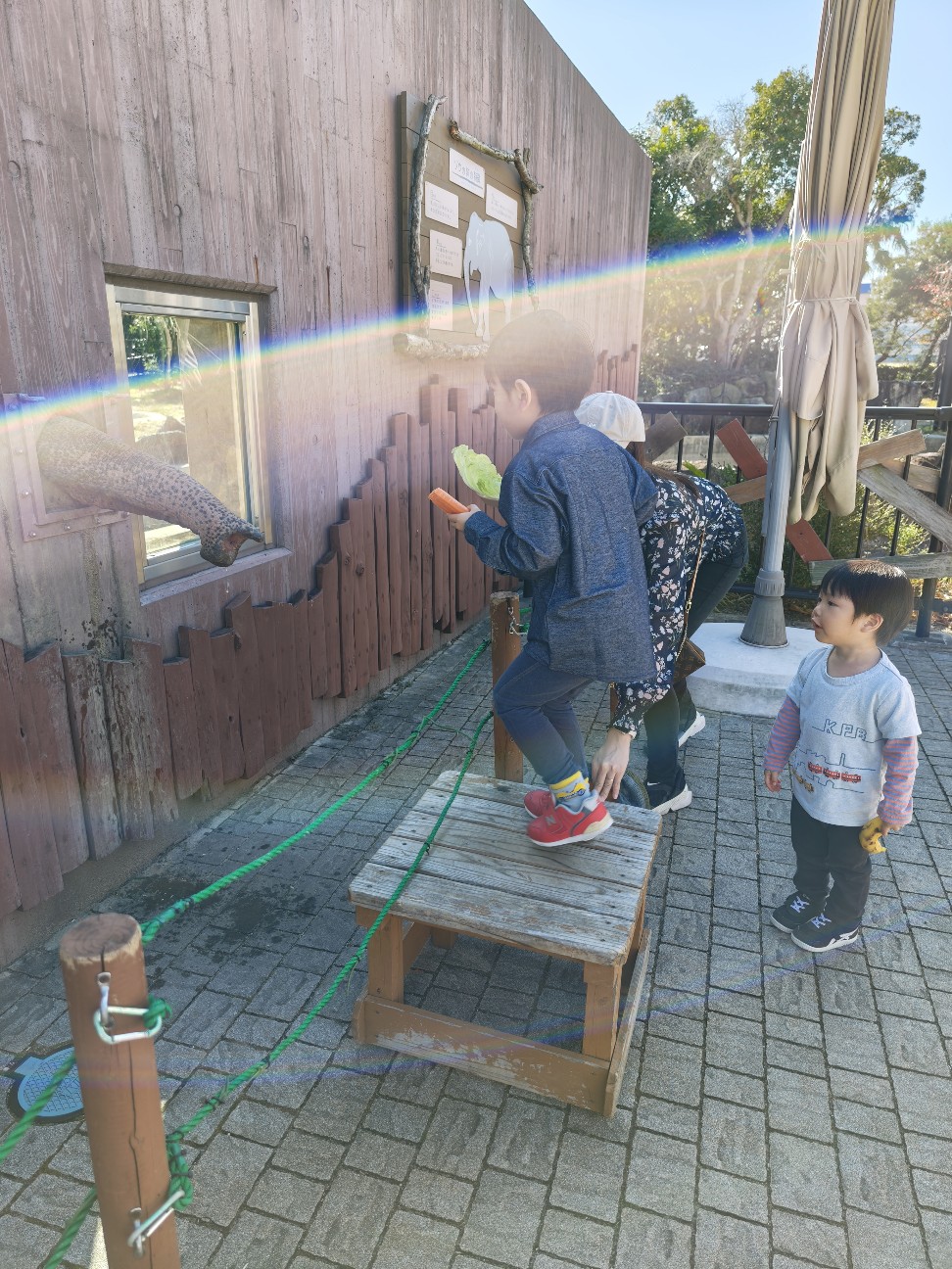 f:id:rest_of_life:20260413121142j:image