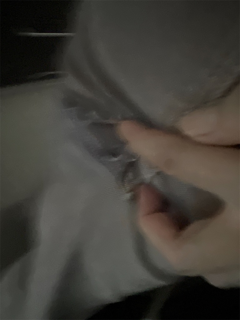 f:id:rest_of_life:20260415170402j:image