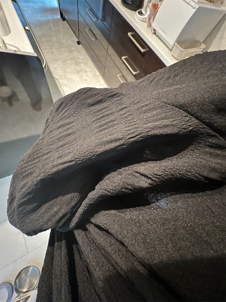 f:id:rest_of_life:20260427081931j:image