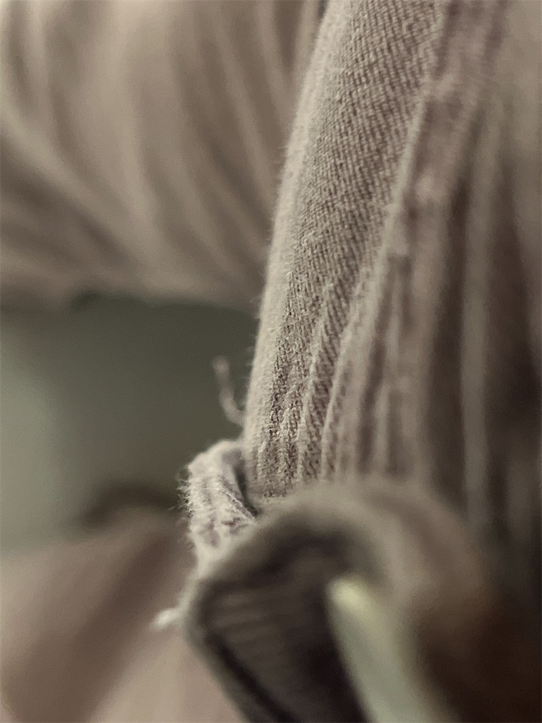 f:id:rest_of_life:20260523185511j:image