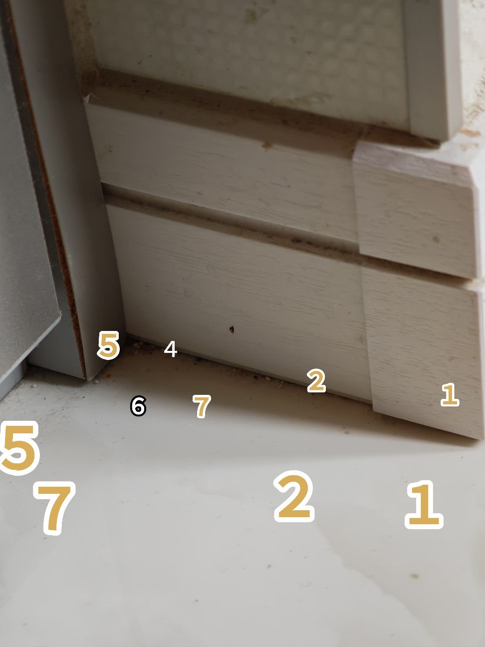 f:id:rest_of_life:20260531061716j:image