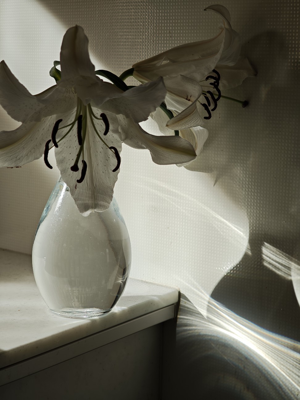 f:id:rest_of_life:20260602111237j:image