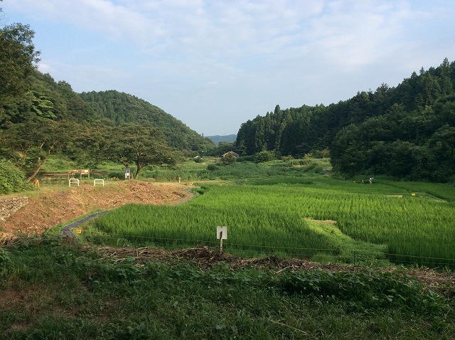 f:id:retire50:20200429105032j:plain f:id:retire50:20200429105032j:plain