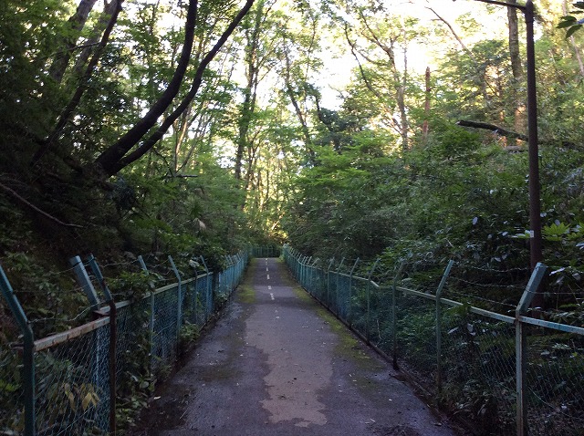 f:id:retire50:20200624092821j:plain f:id:retire50:20200624092821j:plain