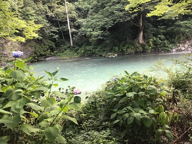 f:id:retire50:20201009093314j:plain f:id:retire50:20201009093314j:plain