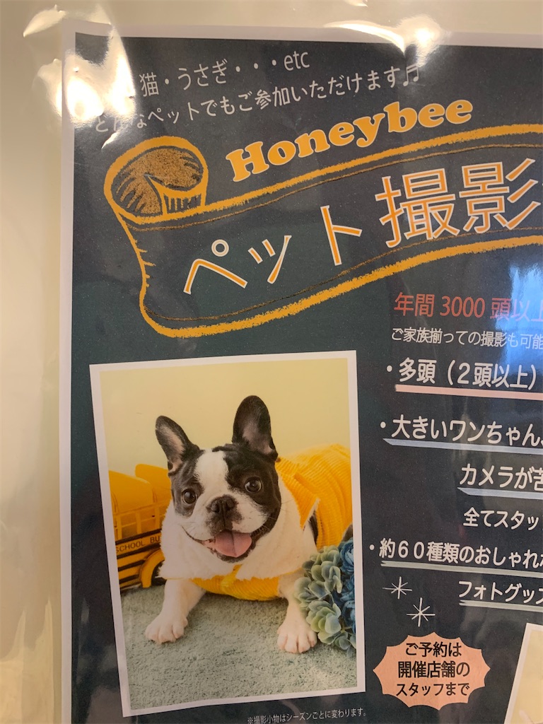 チラシ