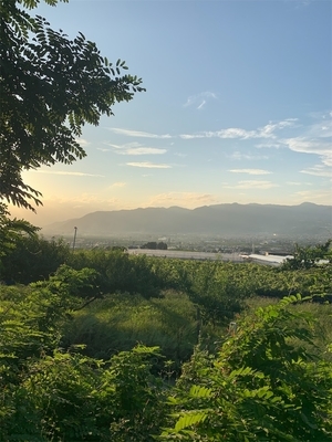 釈迦堂