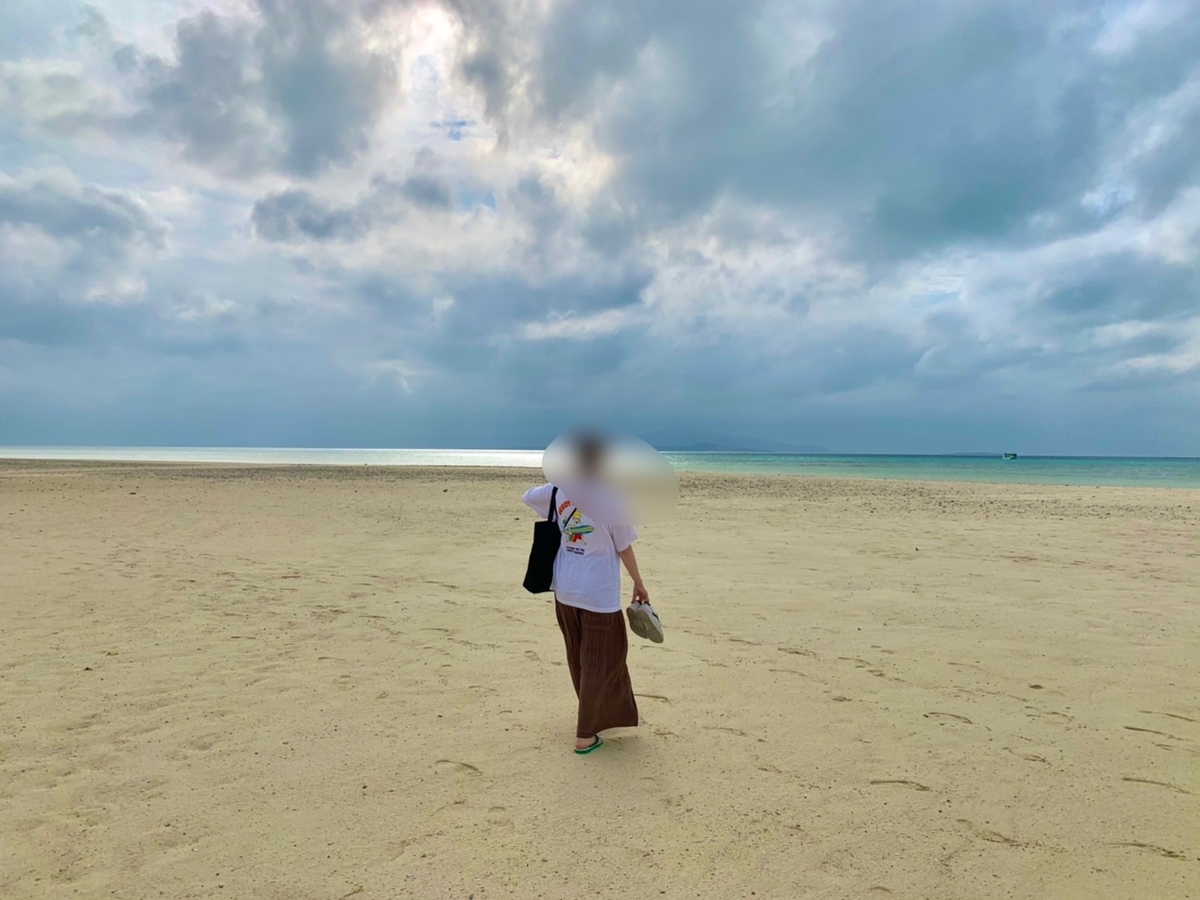 f:id:retirehumanlife:20210620233813j:plain