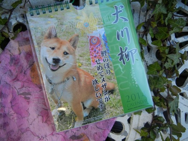 f:id:retoto:20140103215417j:image