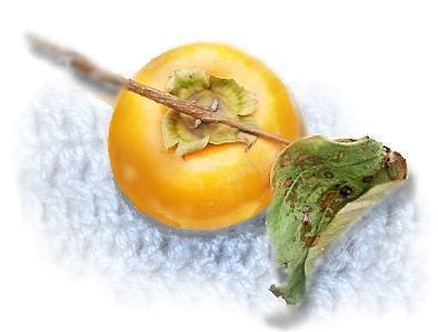 f:id:retoto:20211101184028j:plain