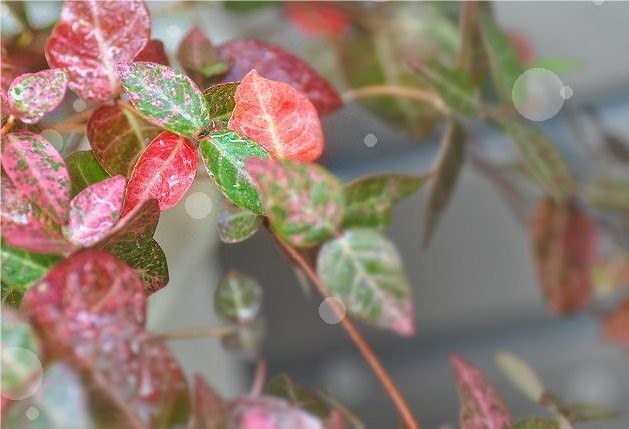 f:id:retoto:20211101184146j:plain