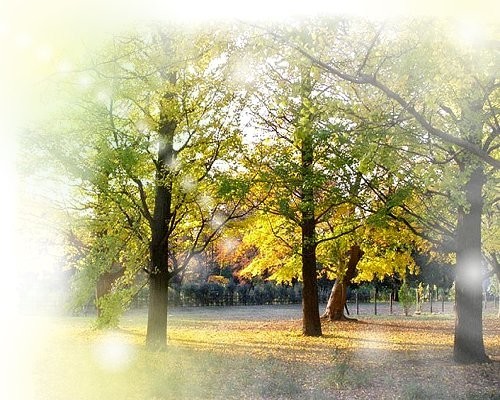 f:id:retoto:20211101184251j:plain