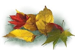 f:id:retoto:20211101184422j:plain