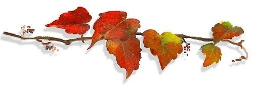 f:id:retoto:20211101184519j:plain