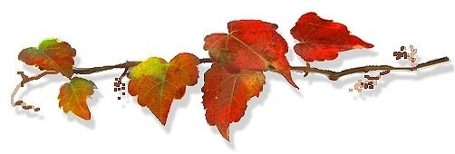 f:id:retoto:20211101184549j:plain