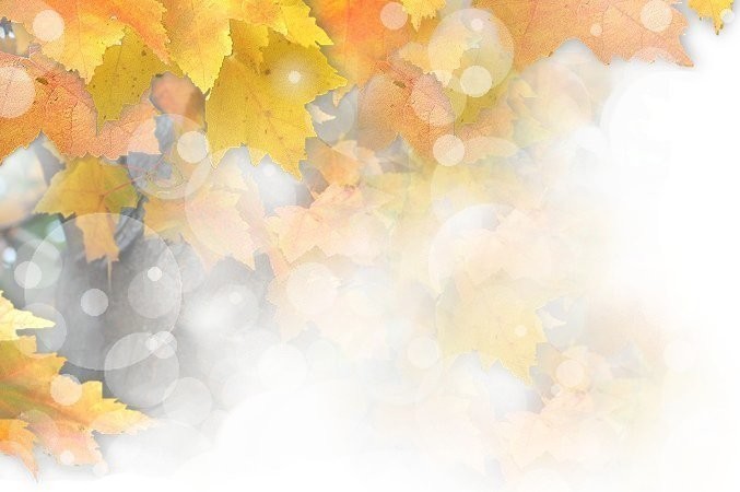 f:id:retoto:20211101184700j:plain