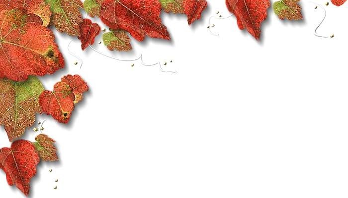 f:id:retoto:20211220213130j:plain