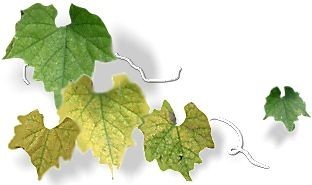 f:id:retoto:20211220215111j:plain