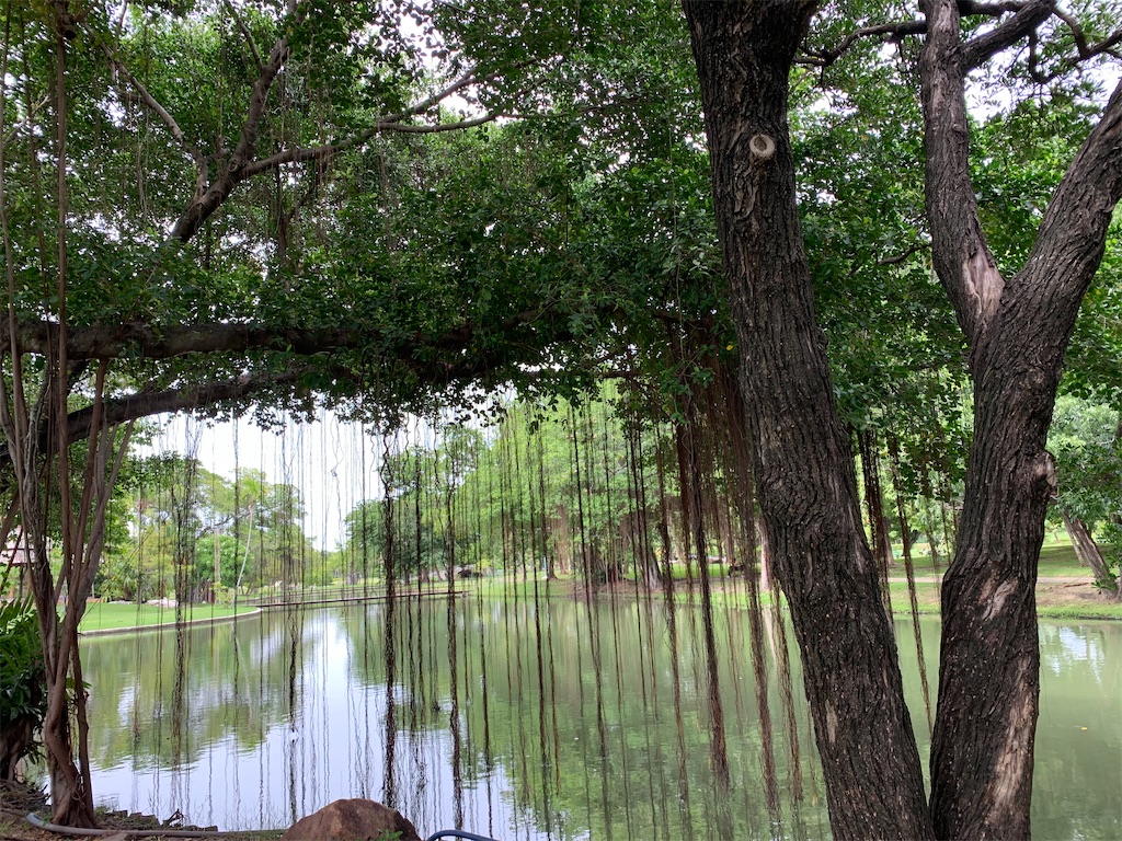 f:id:retteru:20230809212358j:image