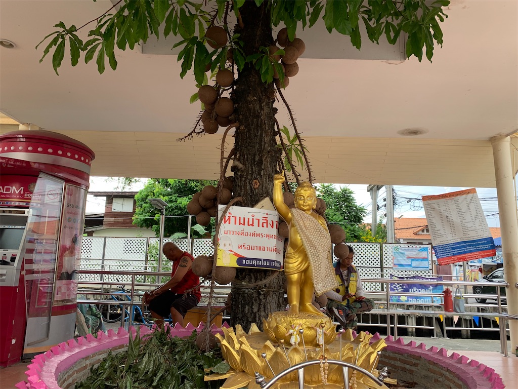 f:id:retteru:20230814011957j:image