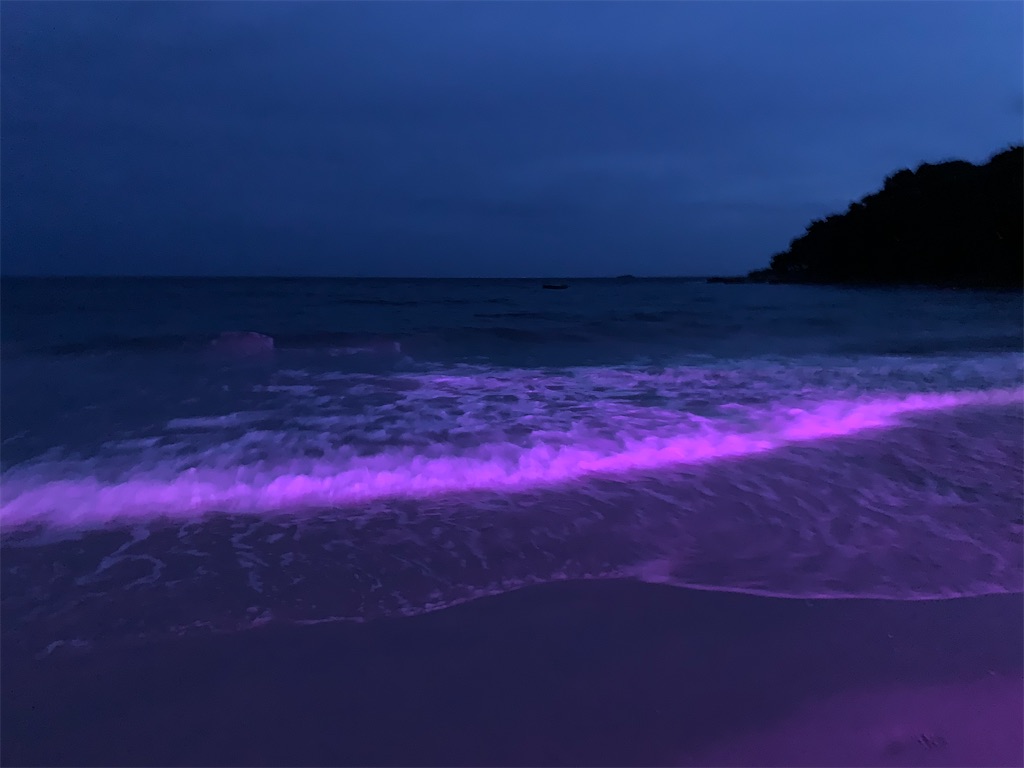 f:id:retteru:20230818183549j:image