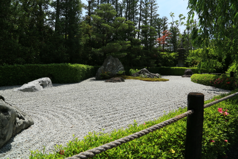 京都新聞写真コンテスト