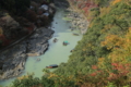 京都新聞写真コンテスト　嵐山紅葉