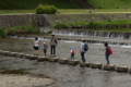 京都新聞写真コンテスト　あぶないよ