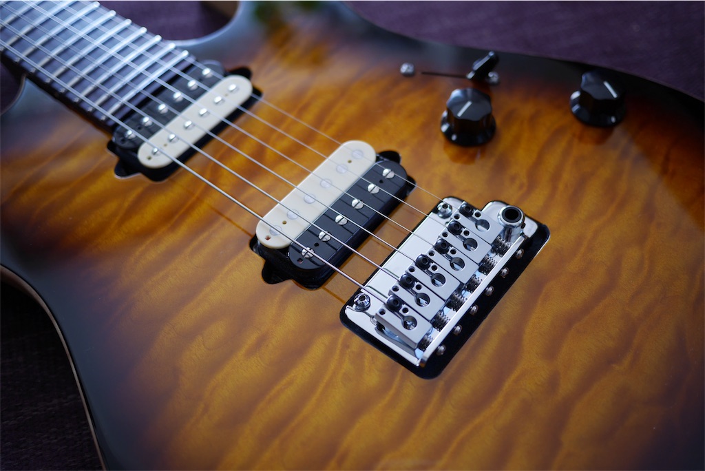 レビュー】Wilkinson WVS1302P(ウィルキンソンのロック式トレモロ)を