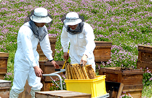 山田養蜂場は家族愛から生まれた会社！現社長・山田英生の想いや蜂蜜づくりのこだわりについて