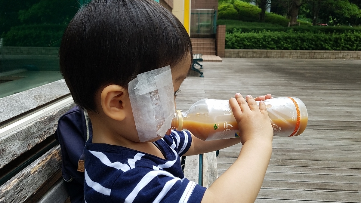 f:id:reviewand:20190703032955j:plain
