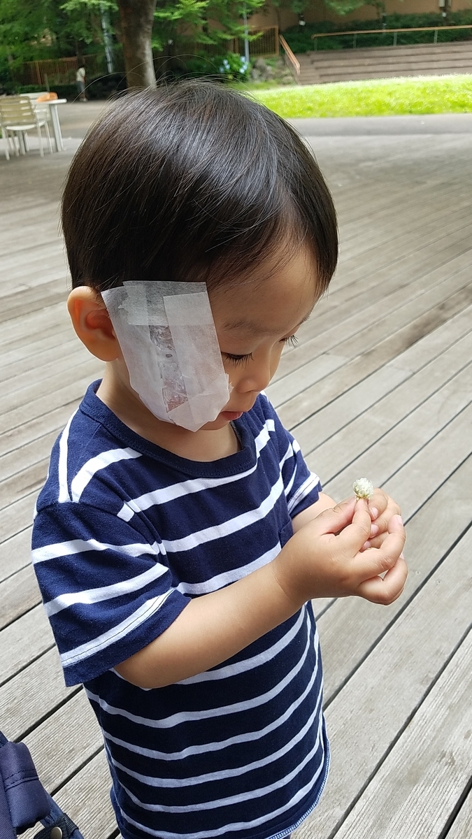 f:id:reviewand:20190703033114j:plain