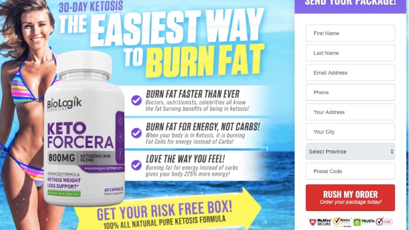 f:id:reviewsforsupplement:20200320171006j:plain