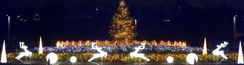 cw_topbanner