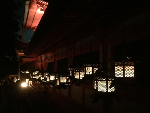 2015 春日大社中元万燈籠 (22)_R