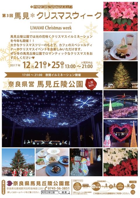 2017_christmas_week-001