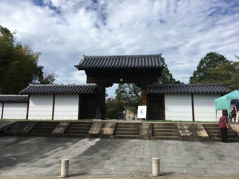 Google photo (166)