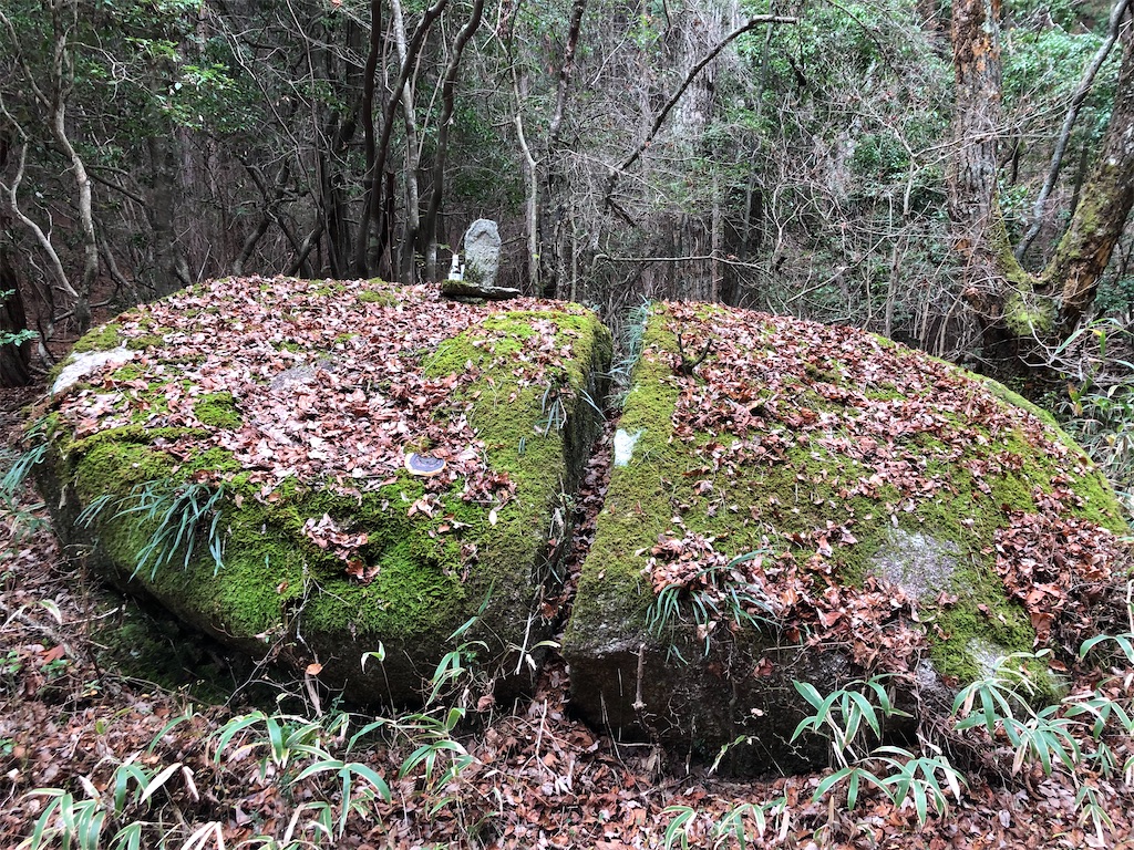 f:id:reza8823:20201125215259j:plain