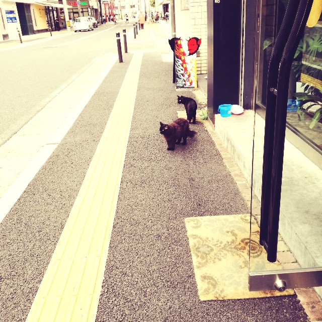 f:id:rezuteki-tsunatan-0909:20170905191901j:image f:id:rezuteki-tsunatan-0909:20170905191901j:image