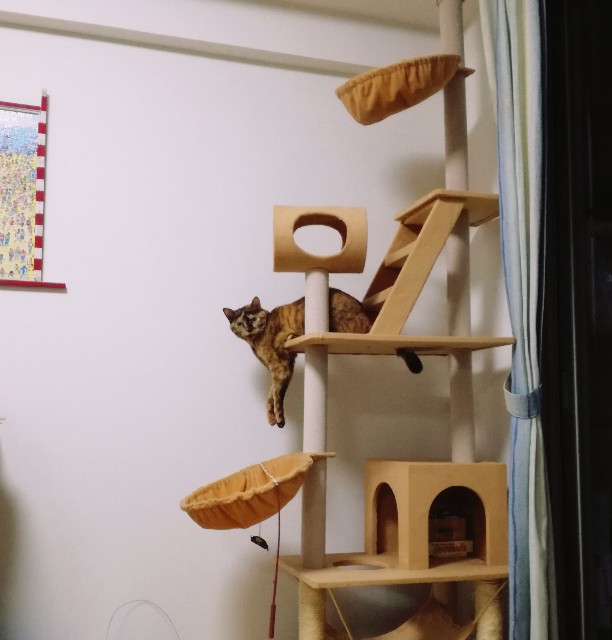 f:id:rezuteki-tsunatan-0909:20171024231343j:image