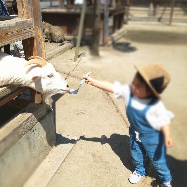 f:id:rezuteki-tsunatan-0909:20180424191653j:image f:id:rezuteki-tsunatan-0909:20180424191653j:image