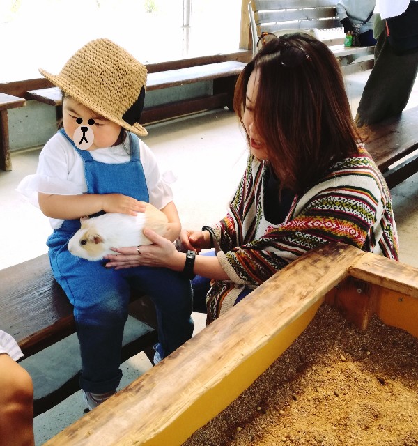 f:id:rezuteki-tsunatan-0909:20180424191757j:image f:id:rezuteki-tsunatan-0909:20180424191757j:image